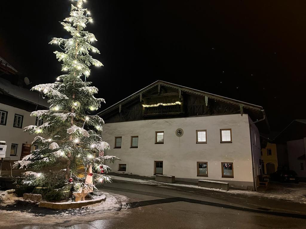 Stuwip Alps Appartement Sonnenstein Fulpmes Exteriör bild